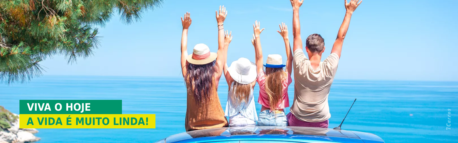 Locadora de veículos